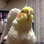 にっちゃんのサムネイル