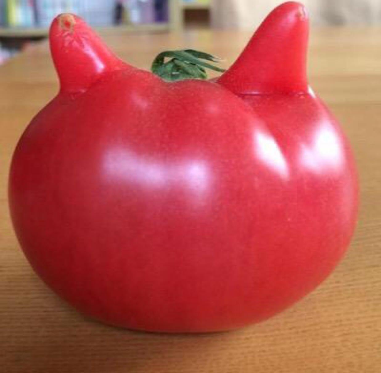 ☆やんやん☆
