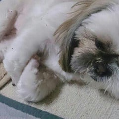 めるのプロフィール