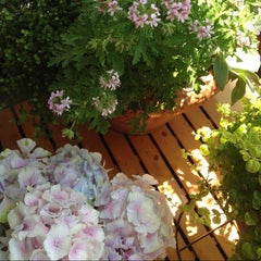 私の花景色 私の花景色