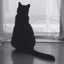 画像 黒猫ジョシュアのしましま日記のユーザープロフィール画像