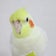 オカメとゆかいな仲間たち