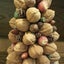 画像 木の実が彩る幸せな日々　Atelier Plaisirのユーザープロフィール画像