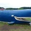 yuchinのサムネイル