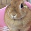 hiro＠pikoのサムネイル