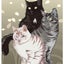 画像 猫のアズ、ココ。ハギボン、グレコ、クロエ＆シオの生活♪そして初心者バラ日記。のユーザープロフィール画像