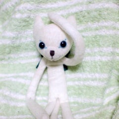 みるみるのプロフィール