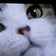 徒然なるままに