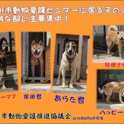 北九州市動物愛護推進協議会 推進員譲渡会メンバーさんのプロフィールページ