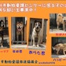 北九州市動物愛護推進協議会　推進員譲渡会メンバーのプロフィール