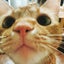 もんたみーのサムネイル