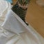 画像 Mariと猫の睡蓮のブログのユーザープロフィール画像