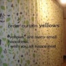 yellows.uenoのプロフィール