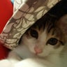 Hirokoのプロフィール