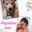 画像 dogsalon mar(ドッグサロン マール)のブログ.長崎市のトリミングサロンのユーザープロフィール画像