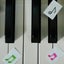 画像 千葉県柏市　真橋ピアノ教室のユーザープロフィール画像