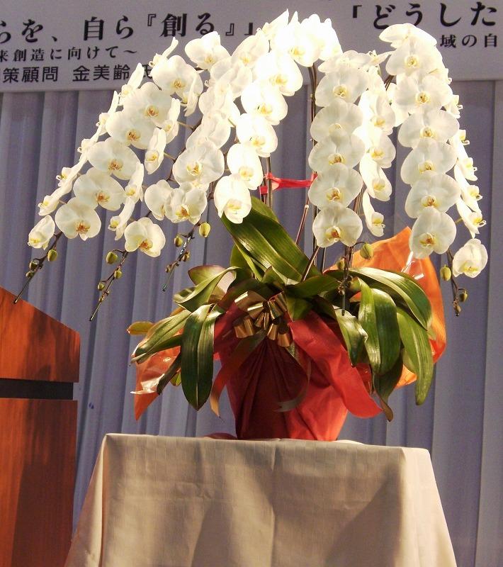 お花の卸販売を始めました ライフオブフラワーのブログ