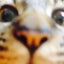 いっちのサムネイル