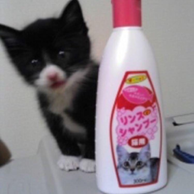 ☆しっぽな☆