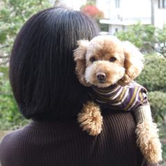 ラプアmamaのプロフィール