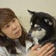 画像 ドッグマッサージ・犬の鍼灸セラピーで元気に長生き！広島市の犬のトリミングサロン　キッズゥのユーザープロフィール画像