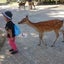 ぴかのサムネイル