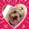 Ameba　岡山保護犬日記　