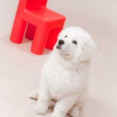 雪ちゃんママのプロフィール