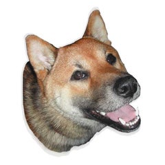 コタパパのプロフィール