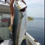 画像 鳥取 遊漁船 大絆丸　イカ釣りのユーザープロフィール画像