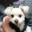 erieのサムネイル