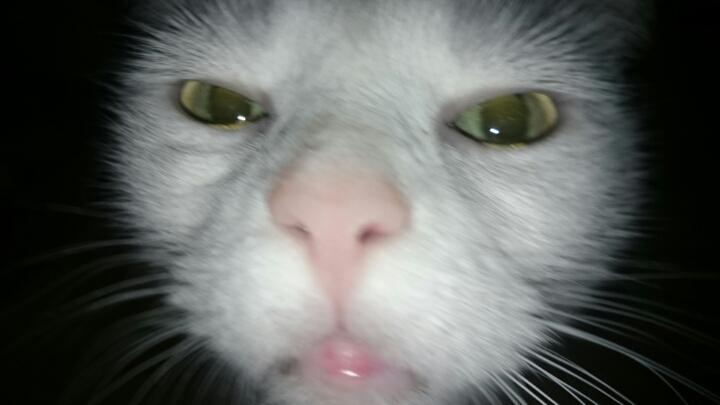 たけ
