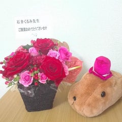 カピバラ好き不特法アドバイザーのプロフィール