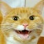 画像 Festaオフィシャルブログ「猫のいる生活」Powered by Amebaのユーザープロフィール画像