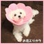 画像 お花エリカラのユーザープロフィール画像