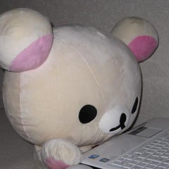 くまこのプロフィール