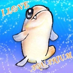 赤虫のプロフィール