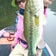 ちゃんこのhappy bassfishing!!