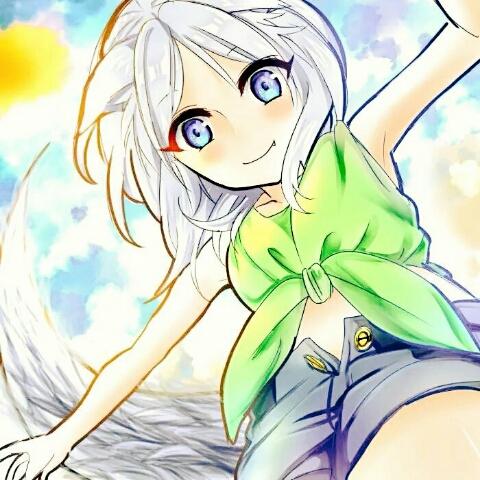 猫耳猫