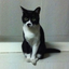 はるこのサムネイル