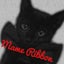画像 広島市東区♡黒猫Mame&AzukiとRibbon教室のブログのユーザープロフィール画像