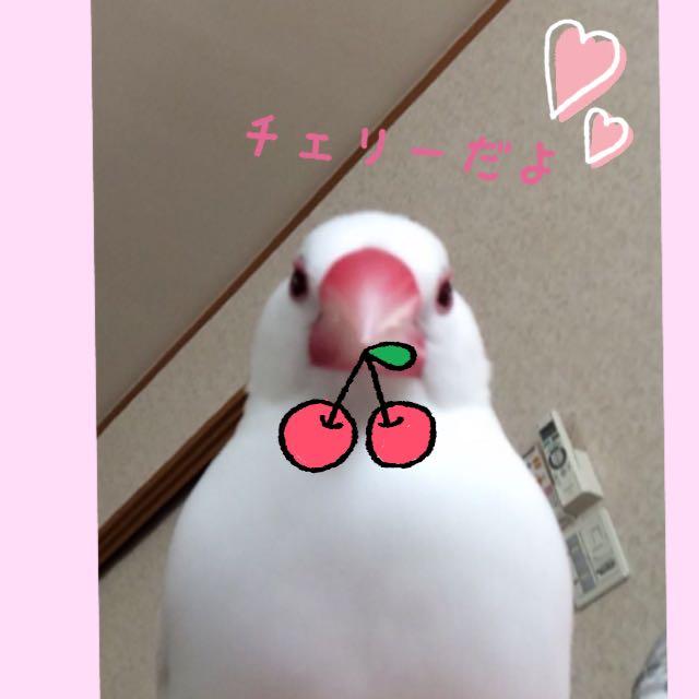 遥香