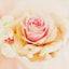 画像 いつも陽だまりのユーザープロフィール画像