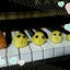 画像 いろんなことを…★ たまーにね♪のユーザープロフィール画像