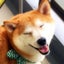 空と海のサムネイル