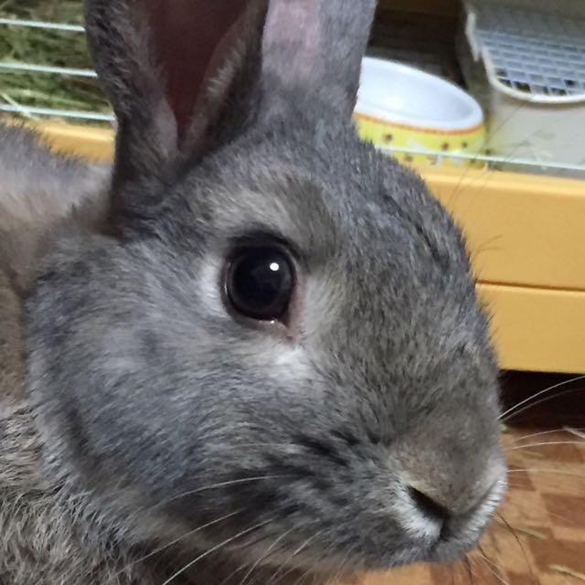 まぁくん