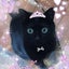 画像 黒猫☆びびっこのユーザープロフィール画像
