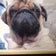 unadonbousouのブログ