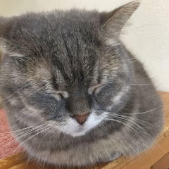 カラダ探し読了 びっくなあいをあなたに