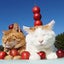 画像 のせ猫オフィシャルブログ Powered by Amebaのユーザープロフィール画像